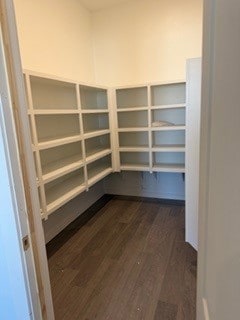 4020 Atago Tree Ln, Pearland, TX 77581 - photo 3