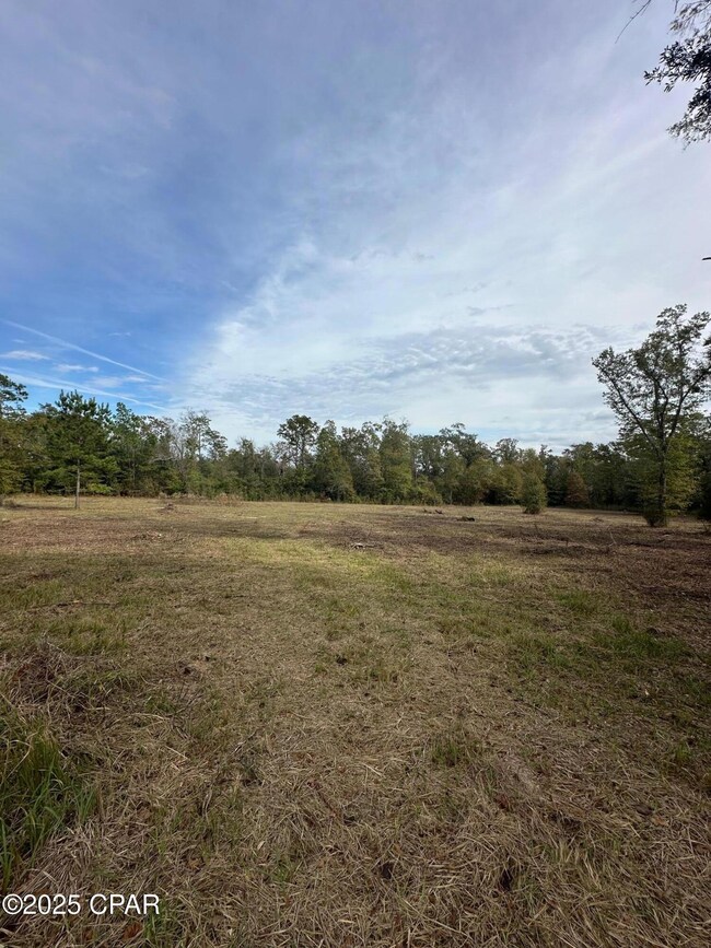 2194 Mohawk Trail, Sneads, FL 32460 - photo 4