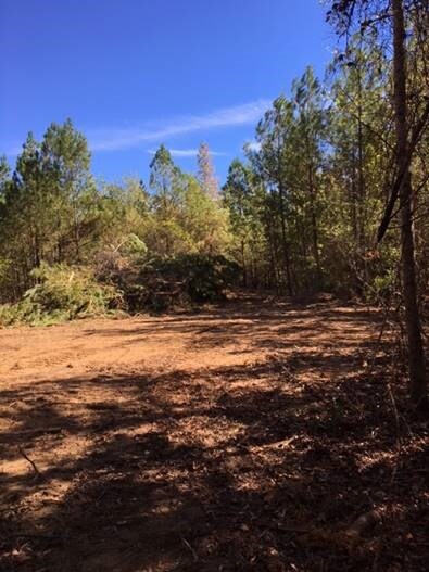 336 Gumm Cemetery Rd NE, Milledgeville, GA 31061 - photo 6