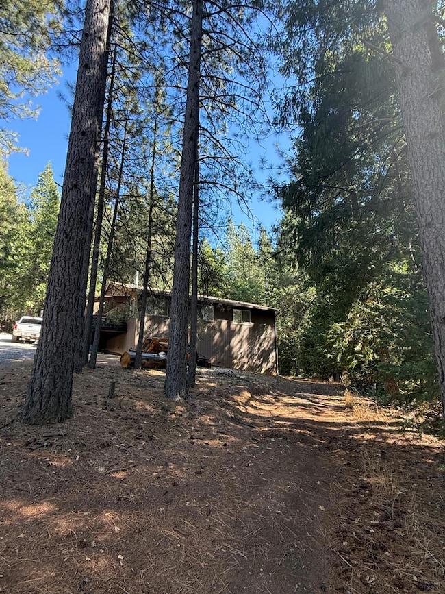 1546 Skull Springs Rd, West Point, CA 95255 - photo 6