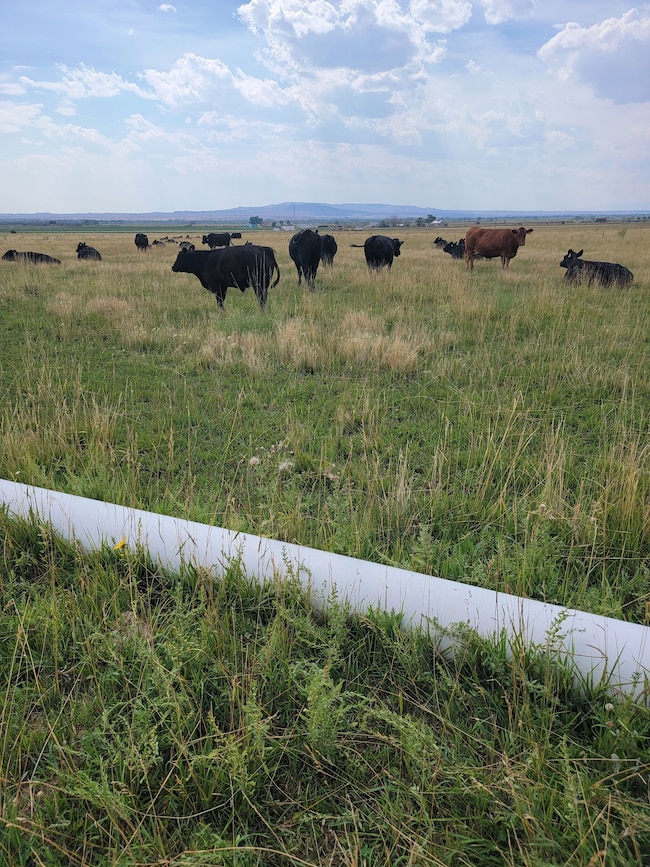 1345 Wy-30, Basin, WY 82410 - photo 2