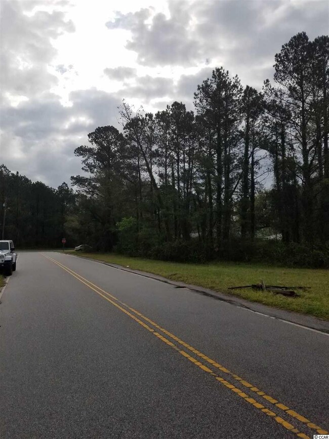 Tortoise Drive View