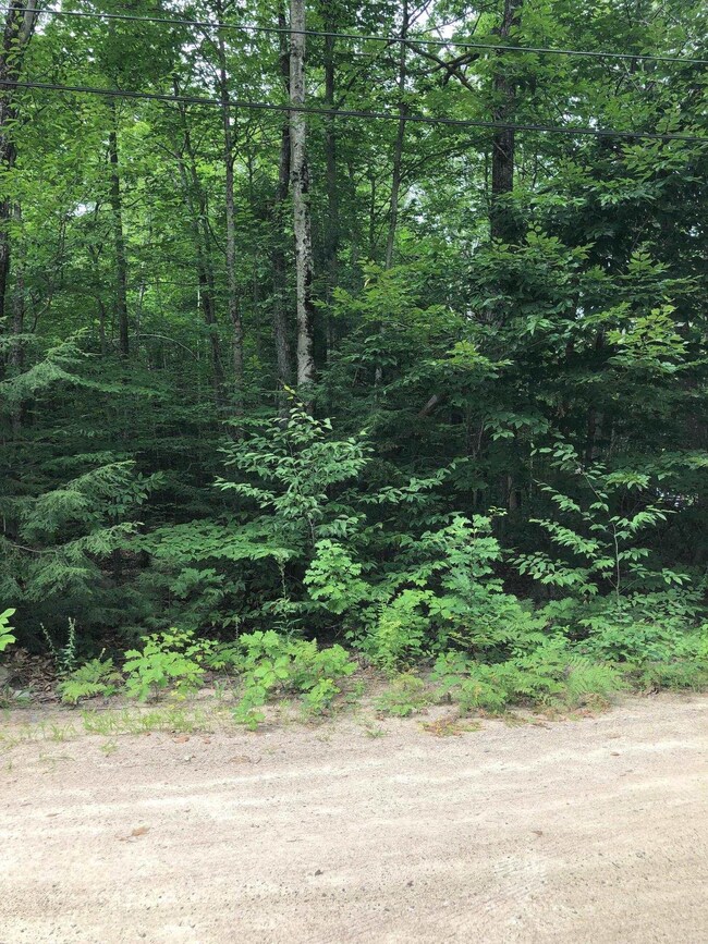 0 Gary & Spruce Rd, Middleton, NH 03887 - photo 3