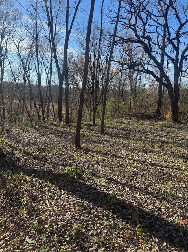 TBD 250th St E, Elko, MN 55020 - photo 4