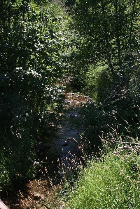 Creek