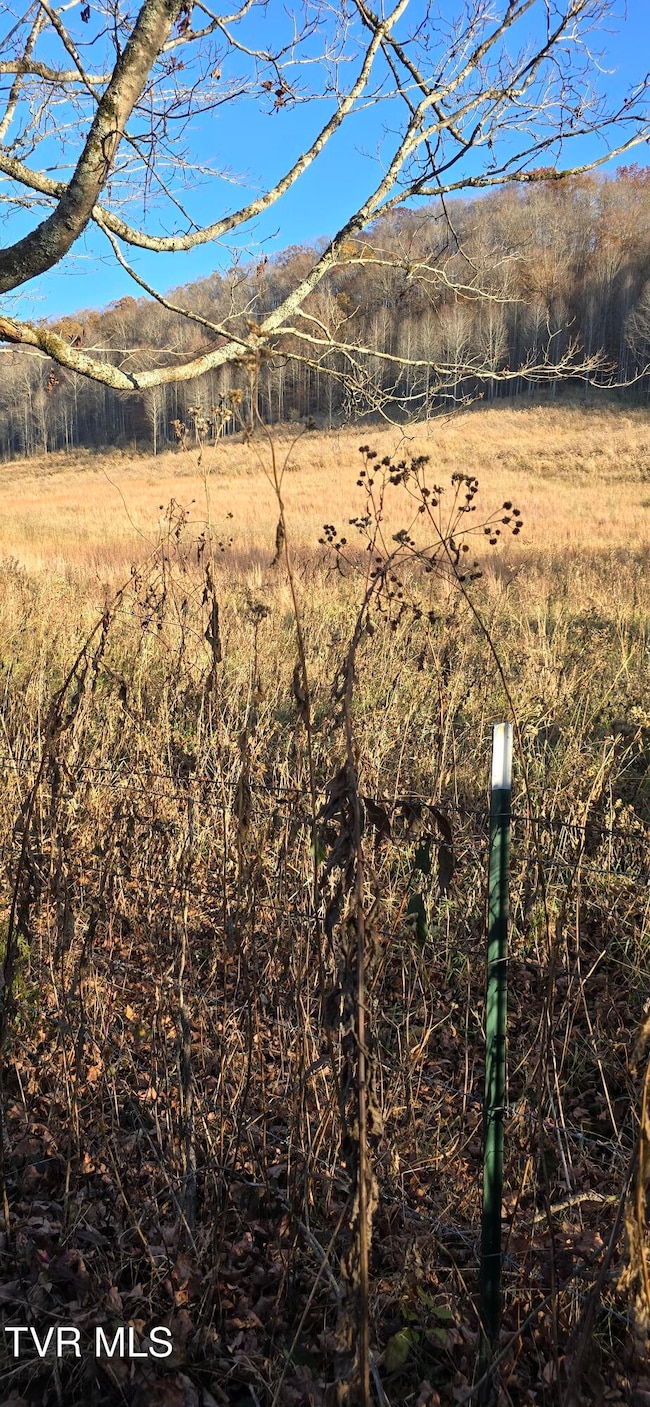 2351 Line Rd, Eidson, TN 37731 - photo 5