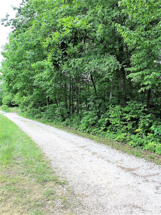 0 Old Mill Creek Rd, Monterey, TN 38574 - photo 4