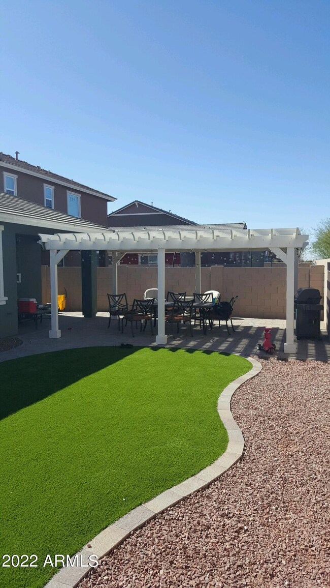 Backyard Picture
