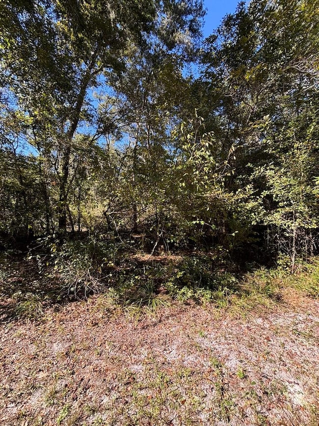 Lot 2 SE 843rd St, Old Town, FL 32680 - photo 3