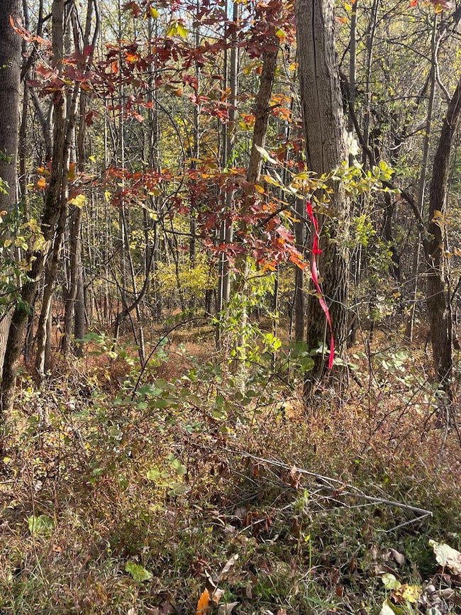 0 Hickory Falls Rd unit 361693, Blue Ridge, VA 24064 - photo 6