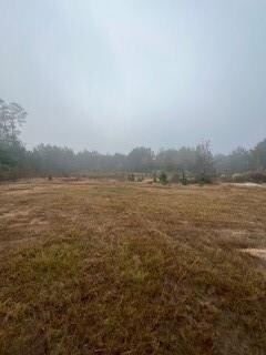 0 Ocho Rios, Pineville, LA 71360 - photo 5