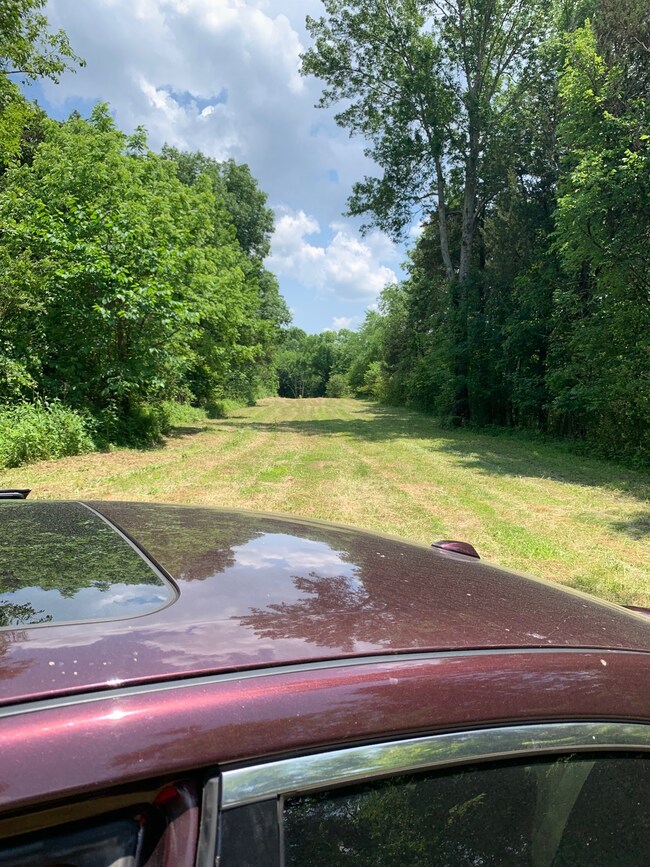 3480 Verona Caney Rd, Lewisburg, TN 37091 - photo 3