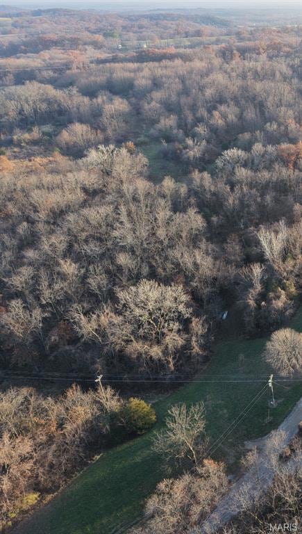 58079 Dow Trail Tract 1, Hannibal, MO 63401 - photo 4