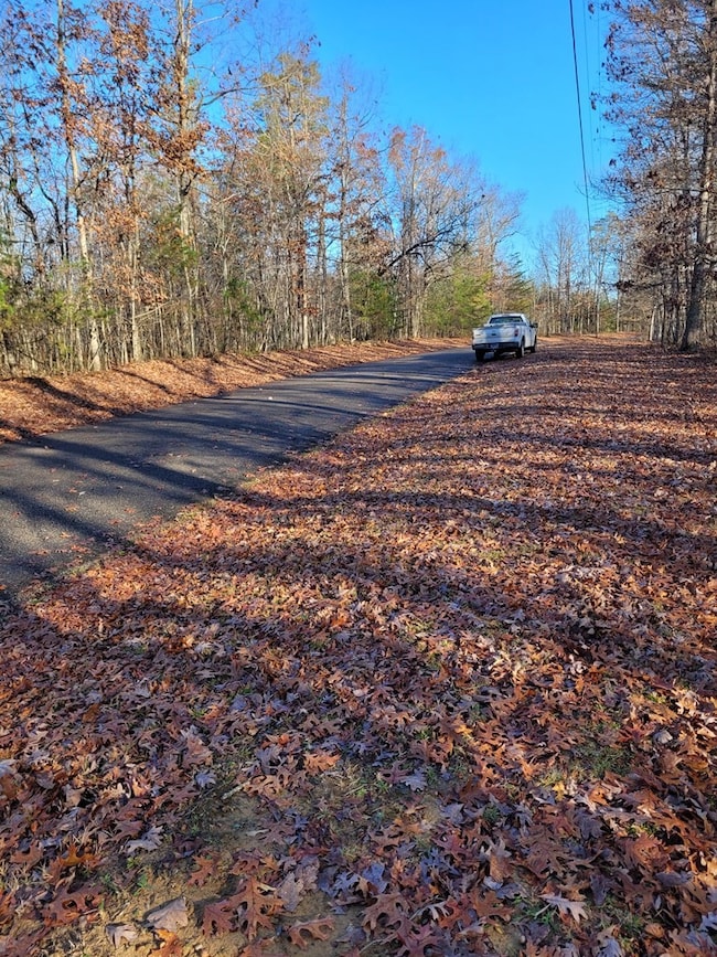 0 Hawks Bluff Rd unit RTC3051170, Spencer, TN 38585 - photo 7