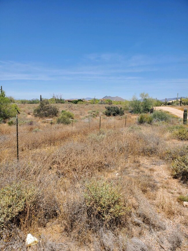 Land Pic 3