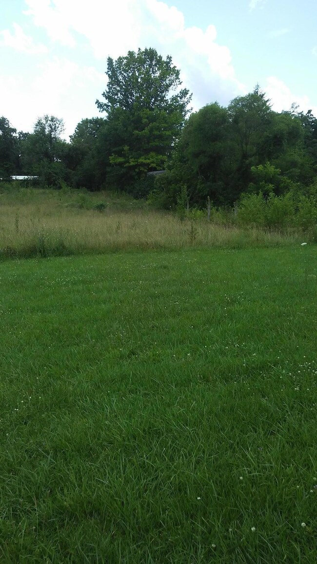 118 Wilder St, Delaware, OH 43015 - photo 6