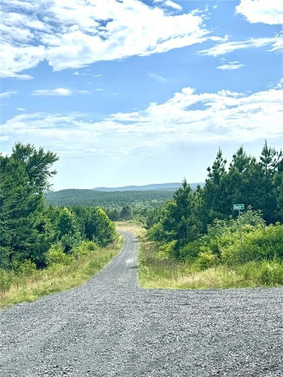 75 Sliding Hill Trail, Broken Bow, OK 74728 - photo 4