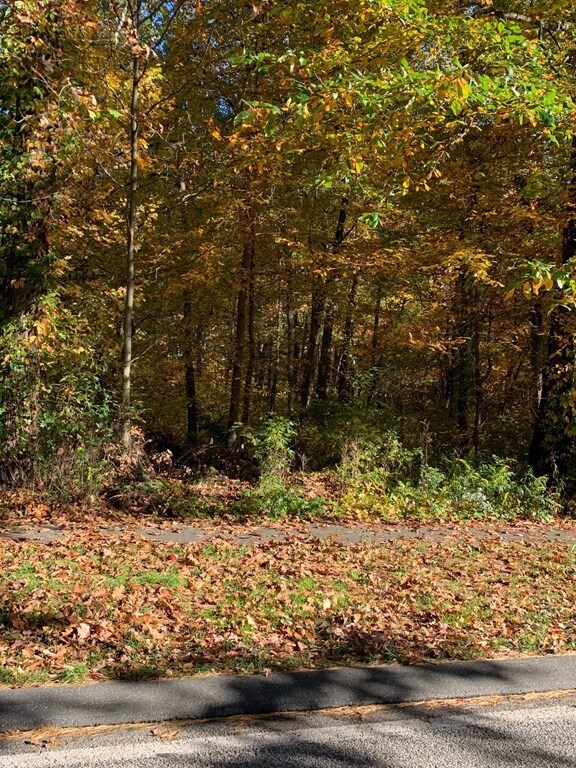 67 Forest St, Wilmington, MA 01887 - photo 3