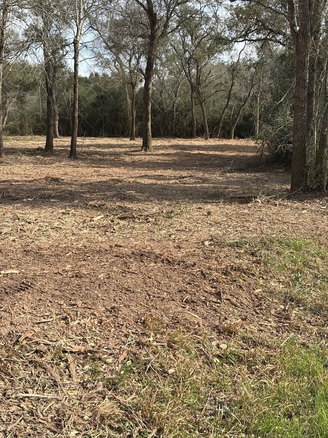 000 Tinkler St, Rock Island, TX 77470 - photo 5