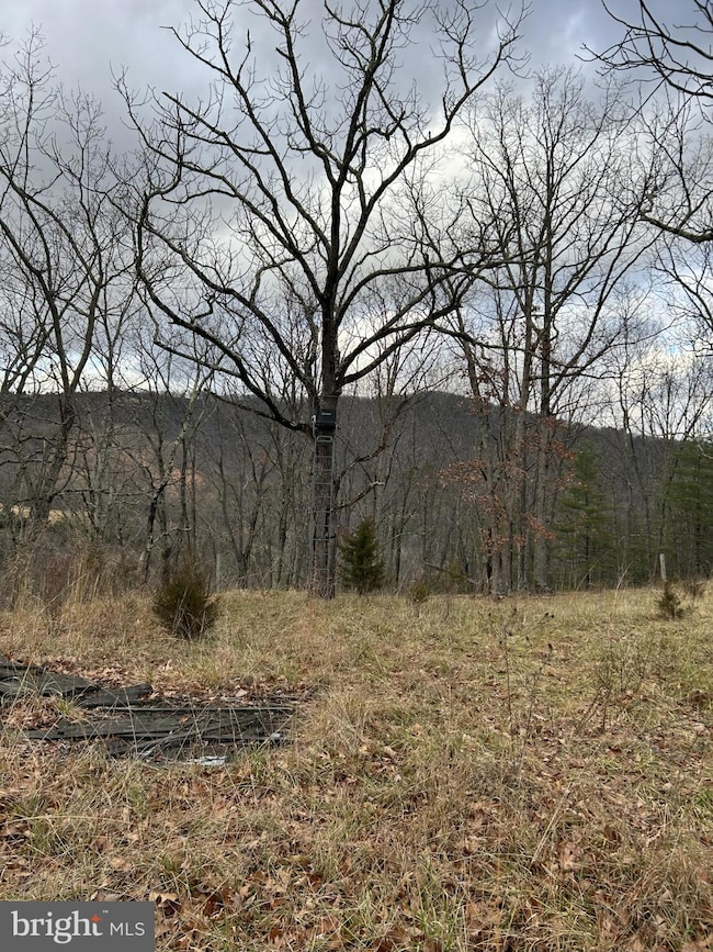 365 Strauter, Franklin, WV 26807 - photo 3