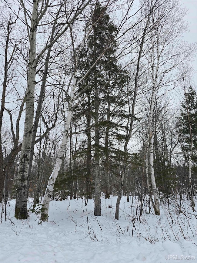 TBD Electric Park Rd, Calumet, MI 49913 - photo 4