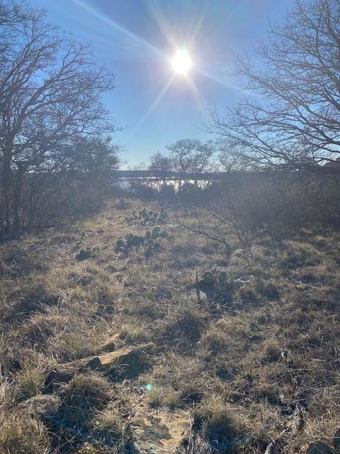 TBD Rolling Hills Rd, Brownwood, TX 76801 - photo 3