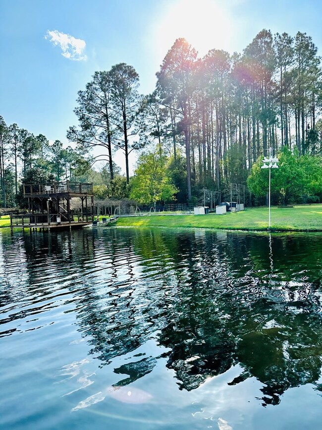 00 Berry Dr, Broxton, GA 31519 - photo 2