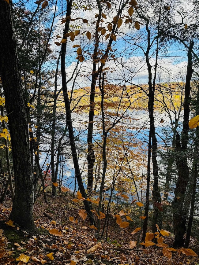 476 Missing Link Rd, Springfield, VT 05156 - photo 2