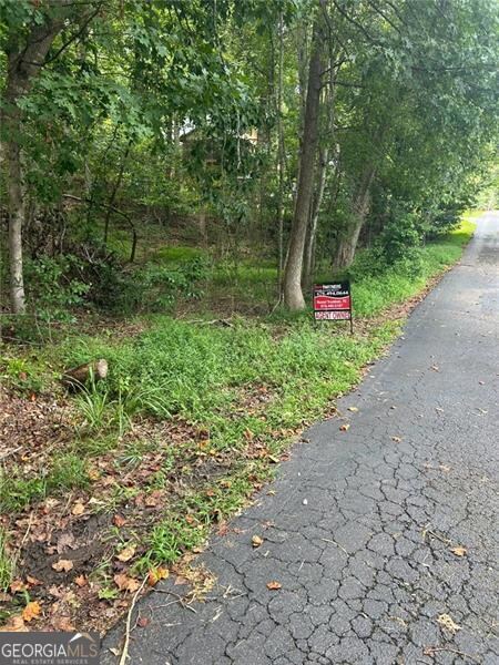 0 Rue Cezzan unit 10579900, Lavonia, GA 30553 - photo 5