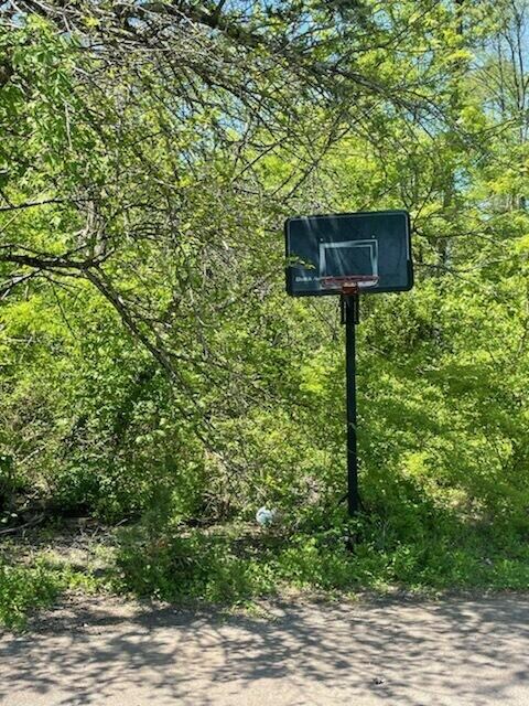 Lot 51 & 52 Cedar Ct 2