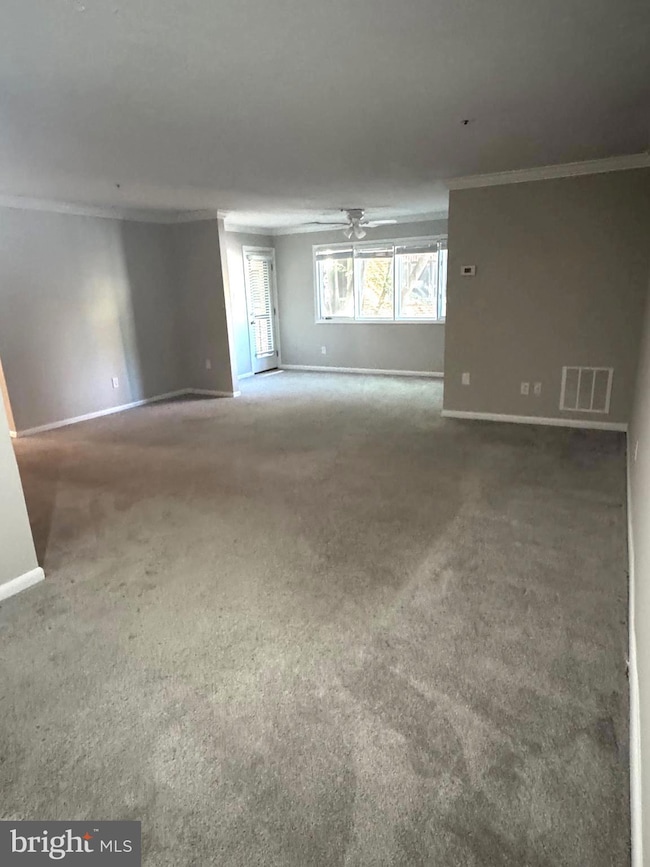 8 Russell Ave unit 209, Gaithersburg, MD 20877 - photo 6