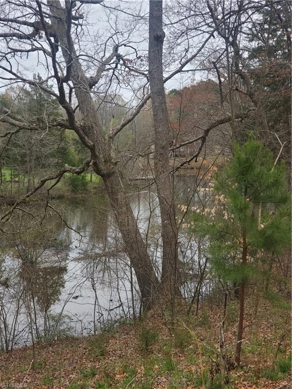 2394 Westwind Way, Sophia, NC 27350 - photo 3