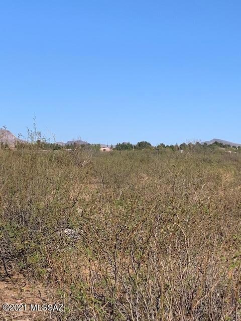 11 Acres N Washington Ave, Douglas, AZ 85607 - photo 4
