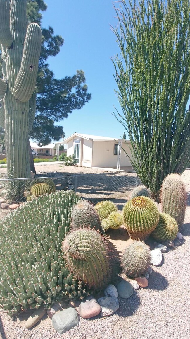 Front yard