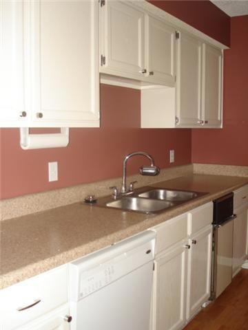 Lots of countertop and cabinet space.  All of the cabinet shelves roll out for your convenience.