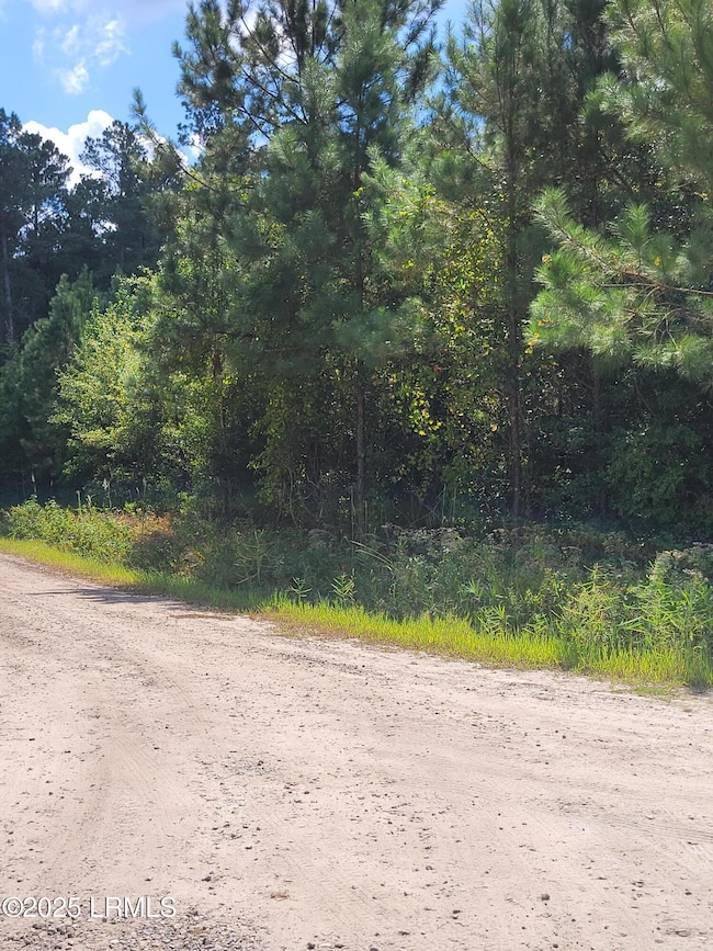 Tbd Tina Manker Rd, Ridgeland, SC 29936 - photo 2