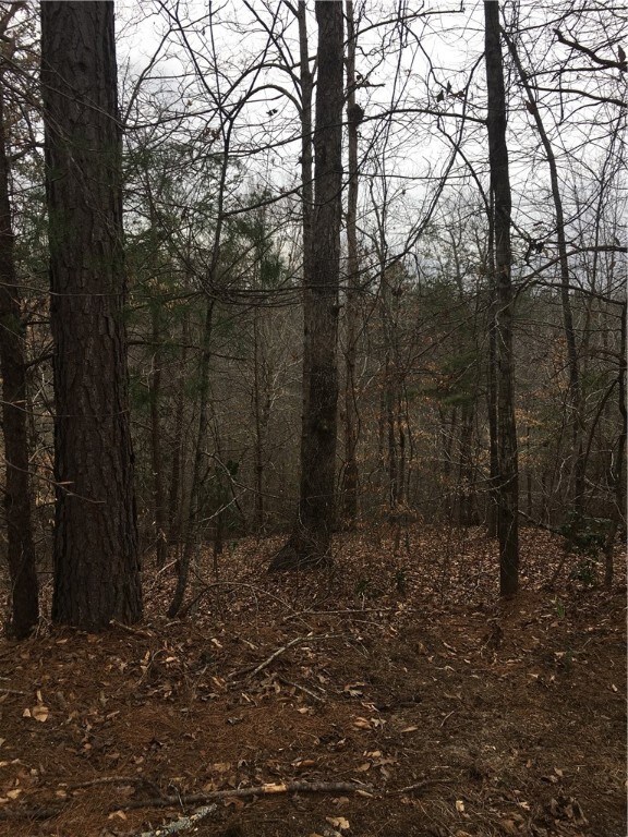 Lot 54 Fox Run Rd, Walhalla, SC 29691 - photo 2