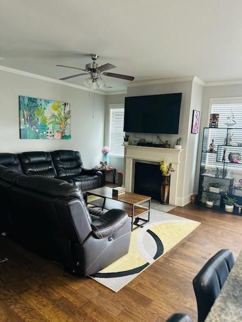 Living room featuring crown molding, a ceiling fan, a fireplace with flush hearth, wood finished floors, and baseboards