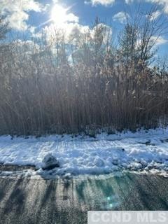 0 - L7 Debbie Dr, Athens, NY 12015 - photo 3