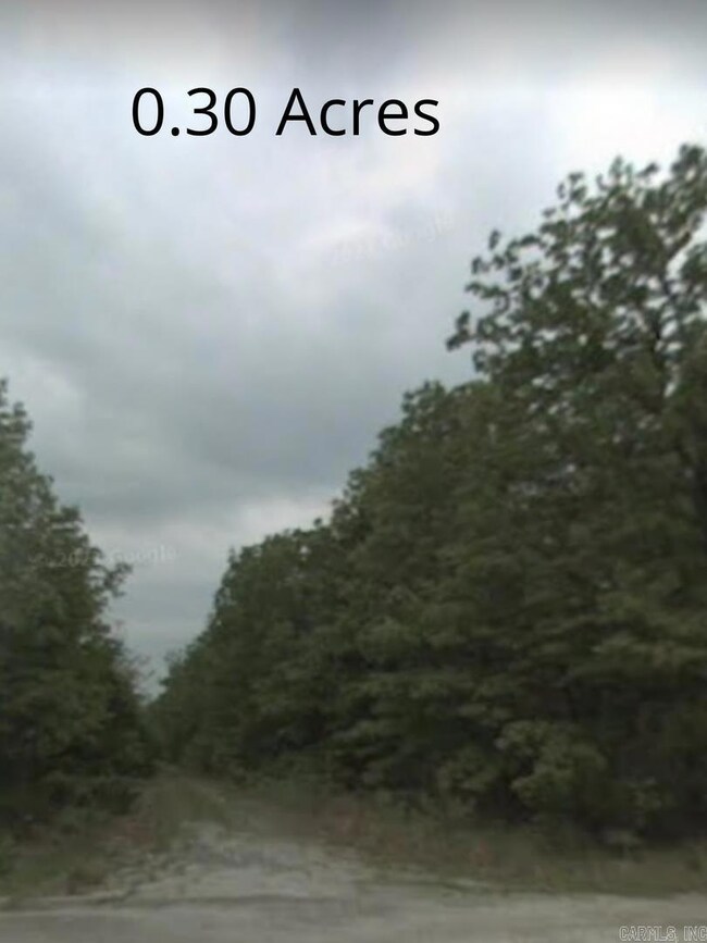 1004 Walnut Ln, Horseshoe Bend, AR 72512 - photo 4