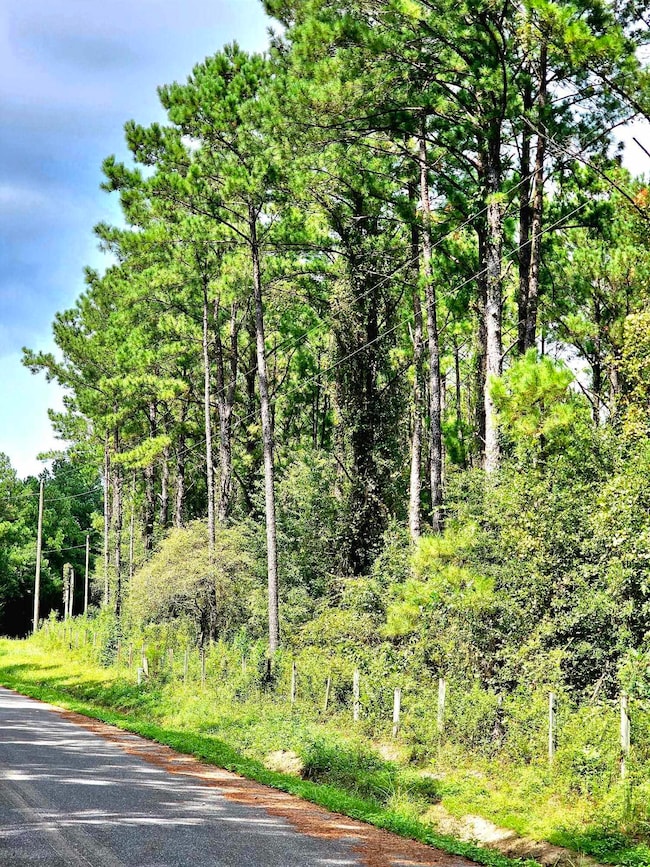 238 Winding Creek Ln, Quincy, FL 32351 - photo 5