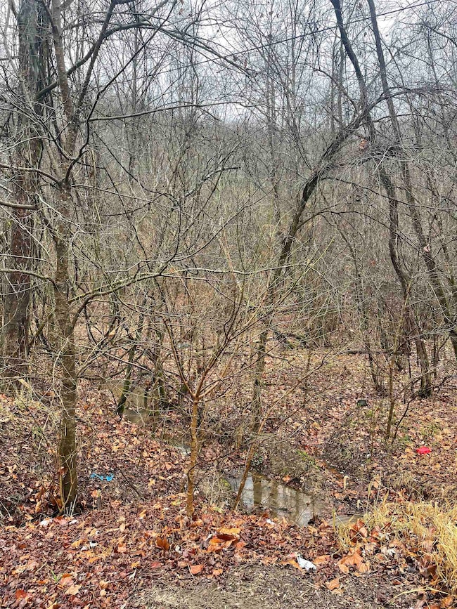 0 White Rd unit 59219, Warfield, KY 41267 - photo 4