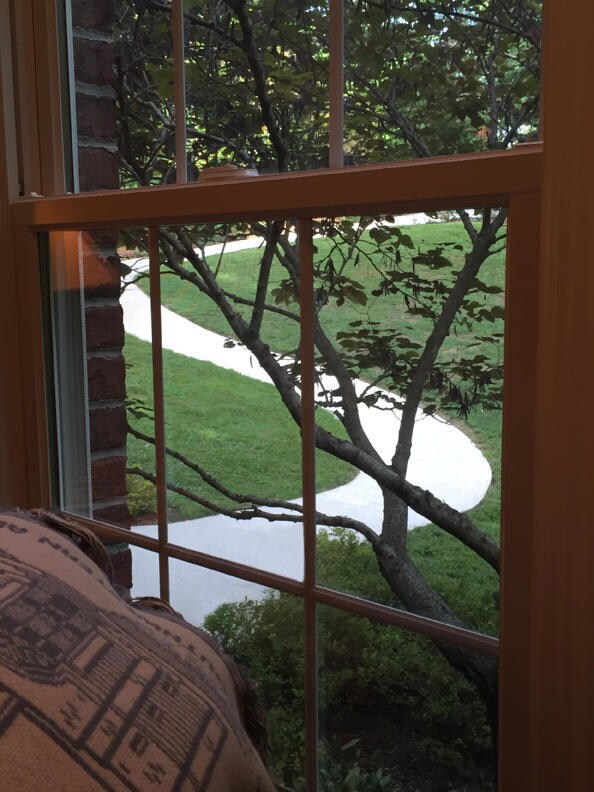 LIVING ROOM VIEW