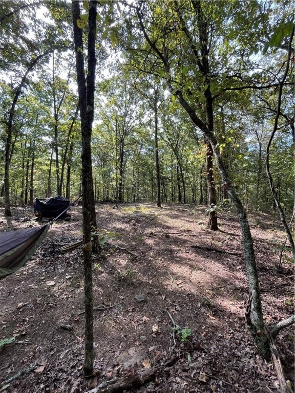 0 Nc 8659 unit 1322740, Jasper, AR 72641 - photo 5