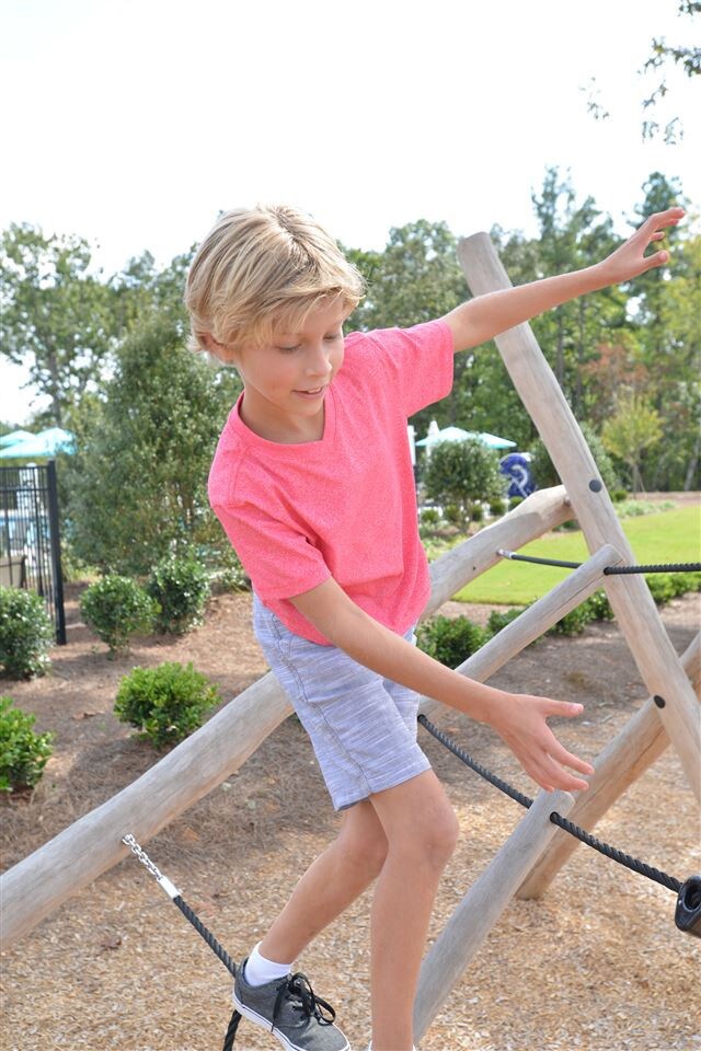 104 Muller Oak Dr unit Lot 1768-Grayton, Apex, NC 27539 - photo 4