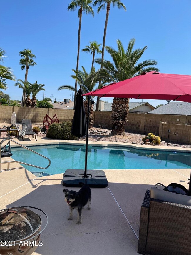 1001 E Wescott Dr, Phoenix, AZ 85024 - photo 2