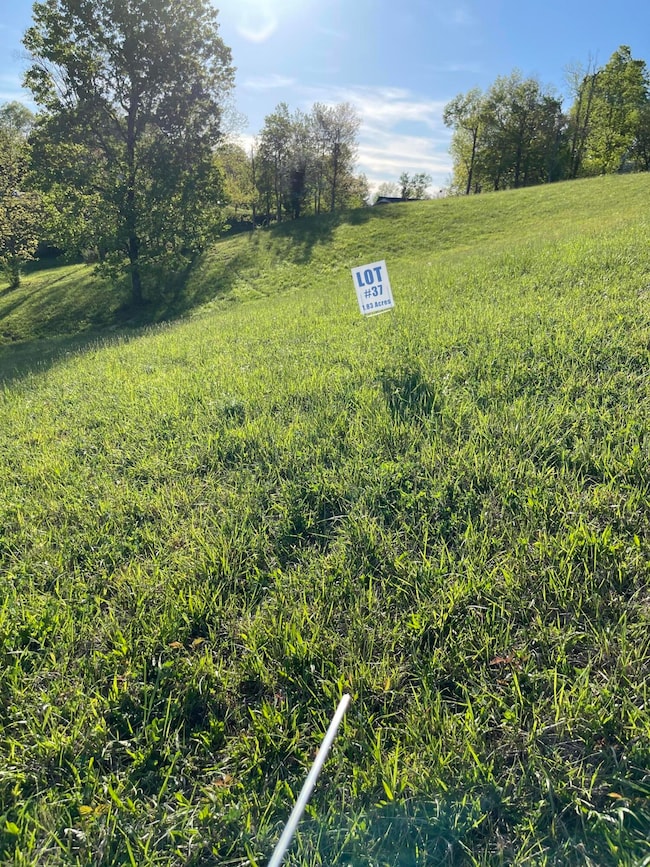 9999 Shiner Hill Phase II Lot #37, Williamsburg, KY 40769 - photo 3