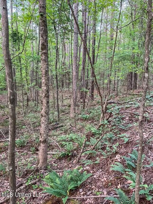 00 Ashley Rd, Brandon, MS 39042 - photo 5