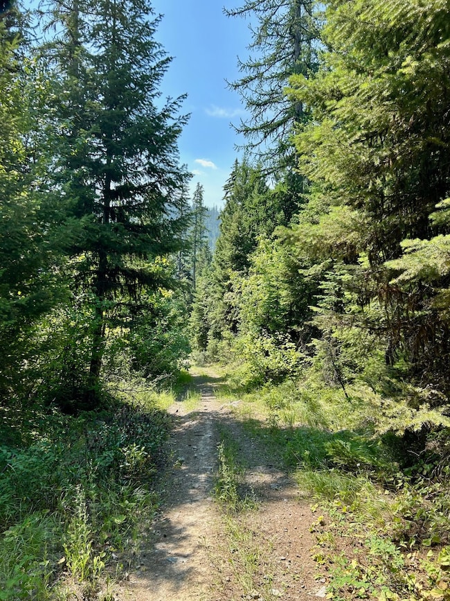 Nhn McMannamy Draw, Kalispell, MT 59901 - photo 4