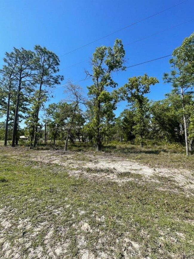 000 Red Oak Rd, Keaton Beach, FL 32348 - photo 3